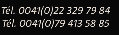 TelefoniInternet1
